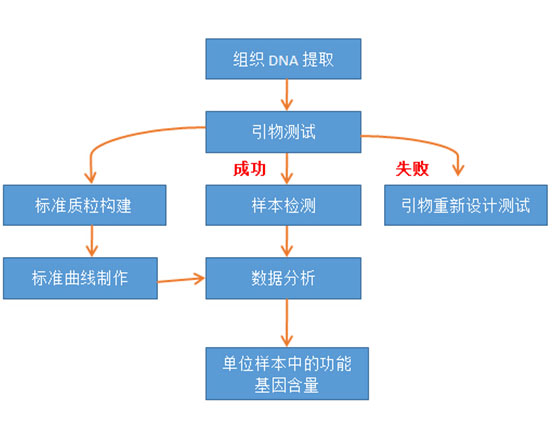 环境微生物功能基因的定量检测