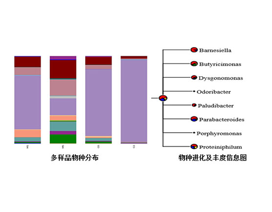 环境微生物群落多样性分析